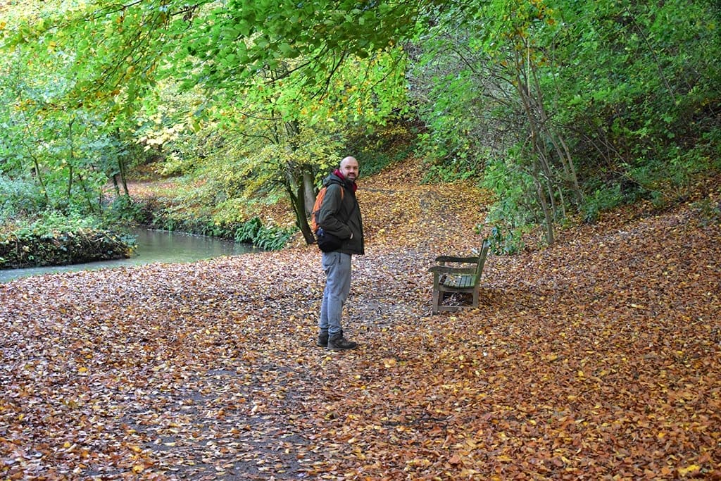 Woodland at Hubbard's Hills Louth