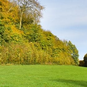 Hubbards Hills fields trees autumnal