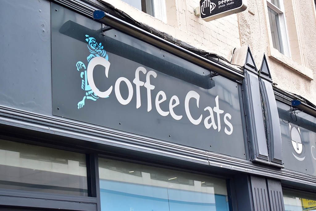 Coffee Cats Lincoln sign