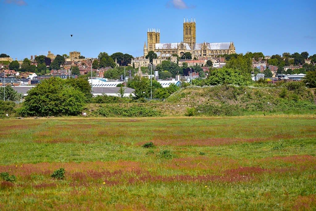 Cow Paddle Lincoln picnics