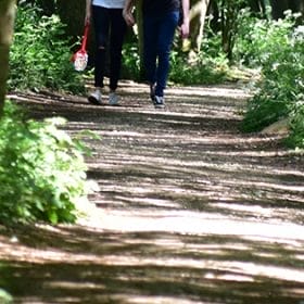 Walks in Lincoln Hartsholme