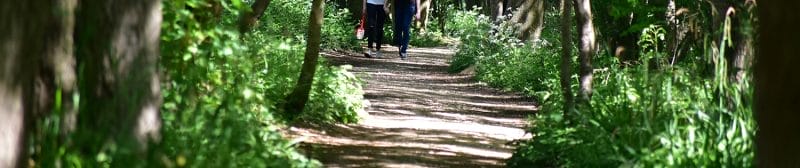 Walks in Lincoln Hartsholme