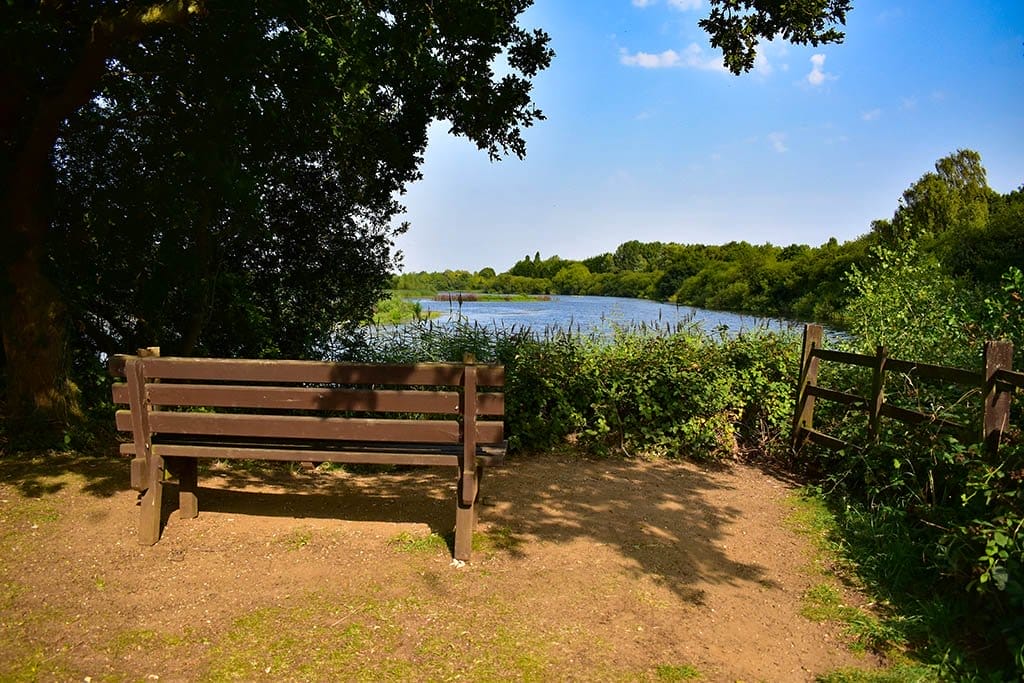 Whisby Nature Park bench