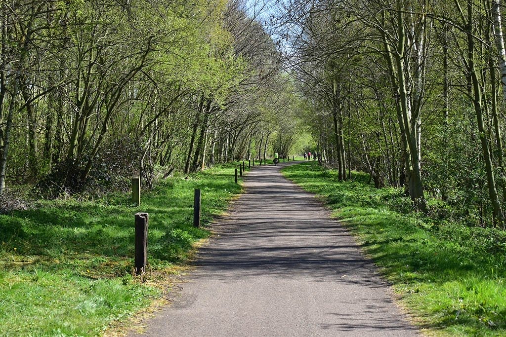 Woodland between River Witham Sincil Dyke
