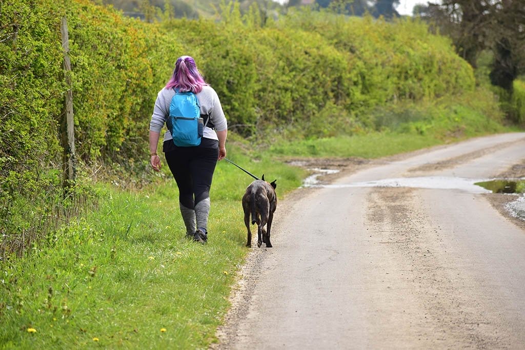 We brought our dog Regan along with us for the Lindsey Trail north route