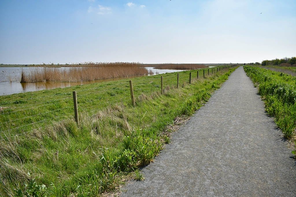Frampton Marsh Frampton Marsh RSPB