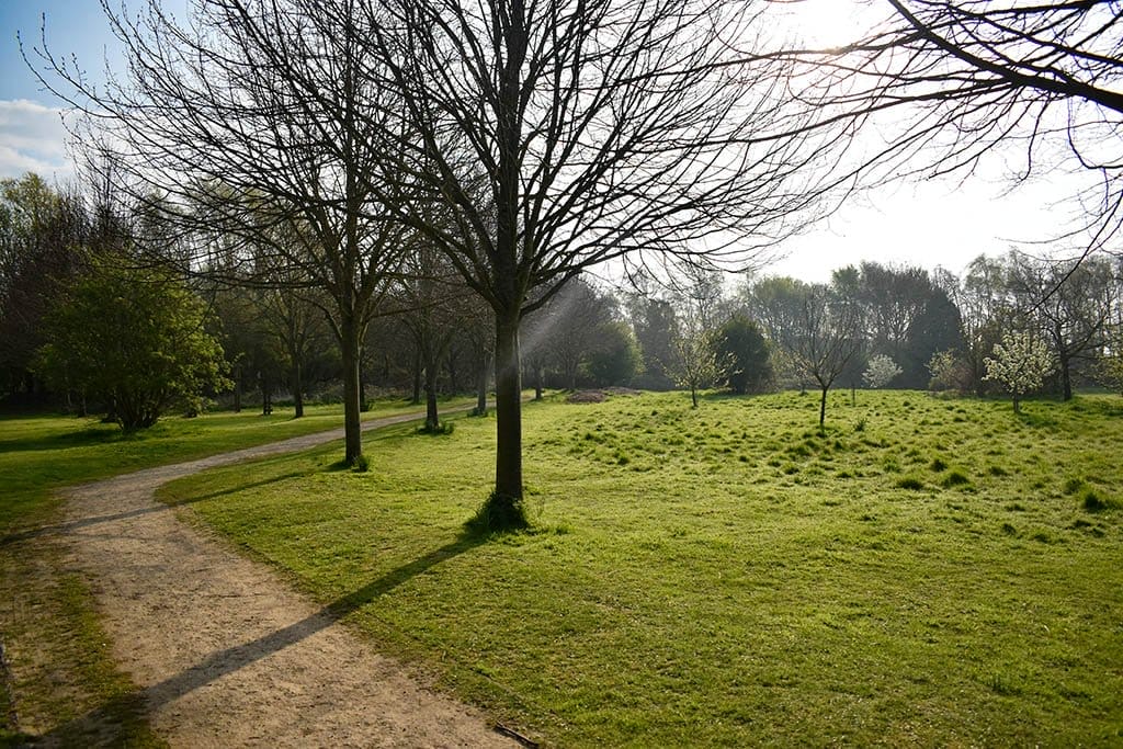 Witham Way Country Park Things to do in Boston: Witham Way Country Park