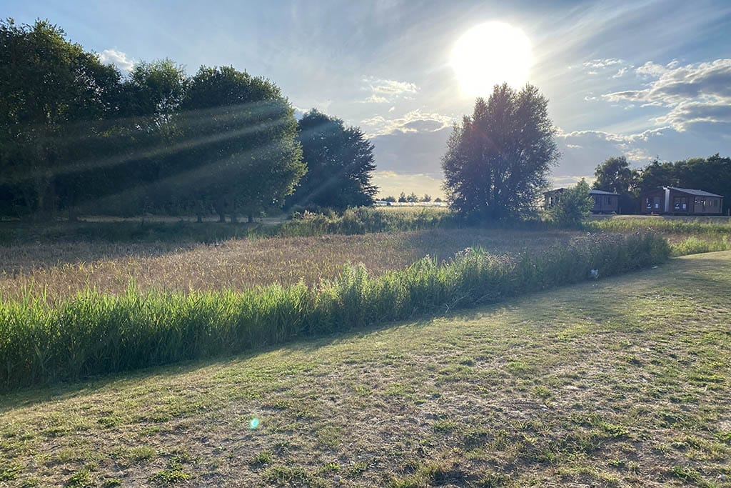 Appletree Holiday Park greenery sunset