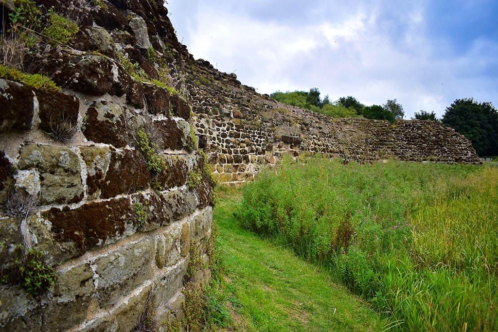 Vegetation by the outer walls