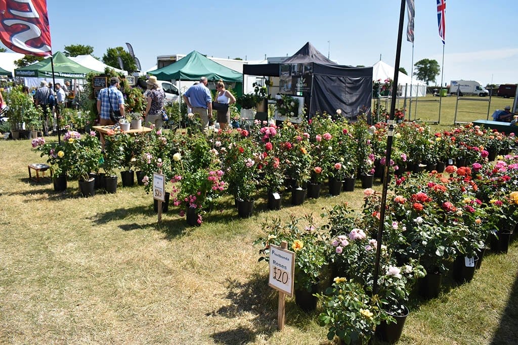 Lincolnshire Show Flowers Floral displays