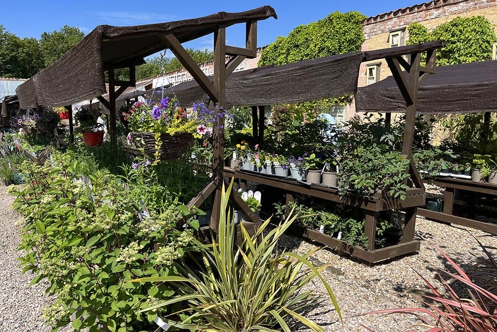 Walled Garden Baumber Plant Shed Plant stall