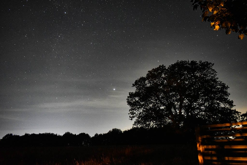 Stargazing Big Tree Stewton Stargazing big tree fence
