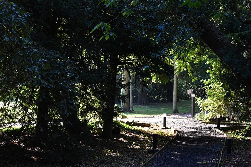 Stewton Stars Hideaway Grounds Stewton Stars Hideaway grounds in sunlight