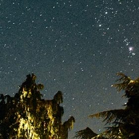 Stewton Stars Hideaway starscape