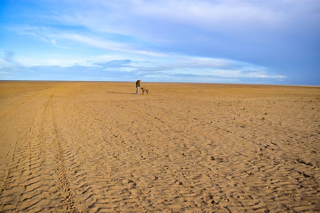 Saltfleet Beach Lincolnshire dog walks