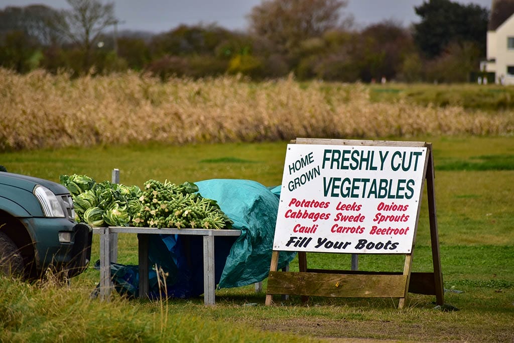 Fresh Vegetables Stall Freshly cut vegetables stall in the car park when you visit the seals at Donna Nook